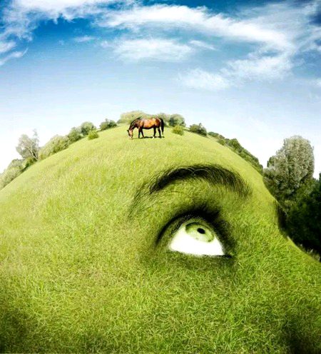 Beautiful Nature image