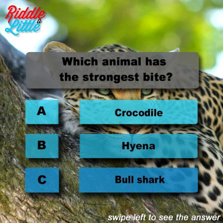 Knowledge Test image