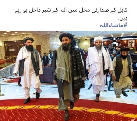 Memes & Satire image