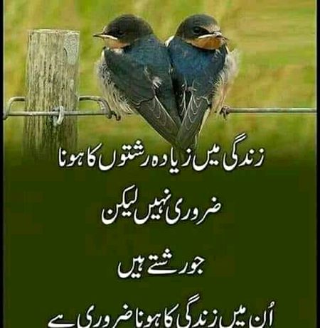 bilkul 🌹🍀🌹🍀