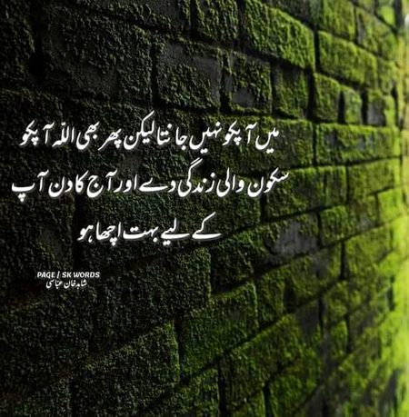Ameen 🤲😊