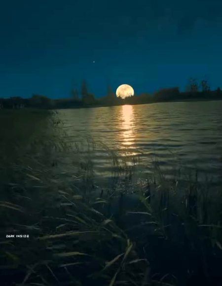 Beautiful Nature image