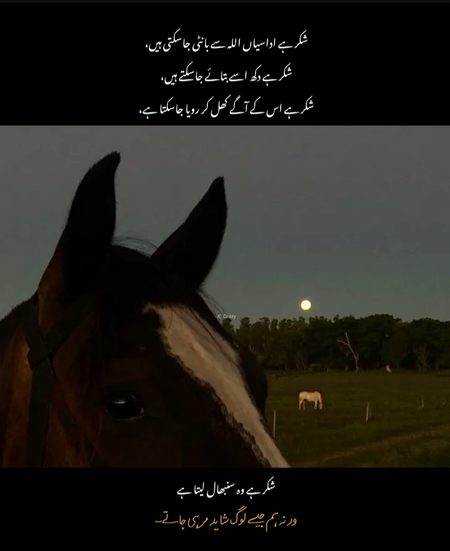 Motivational Quotes image