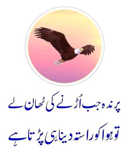 Bilkul