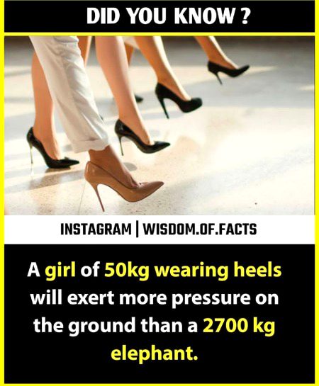 Interesting Posts image