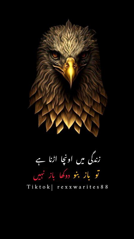 آپکی اور میری سوچ میں صرف اتنا فرق ہے 😏🥀✨
آپکو سرکاری نوکری چاہیے اور مجھے پوری سرکار  😎✌️🔥
ZALIM ✨