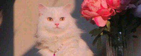 ہر بظاہر کامل شخص کے پیچھے بےشمار الجھنیں ہیں، جنھیں آپ نہیں دیکھ سکتے !🌸🤍