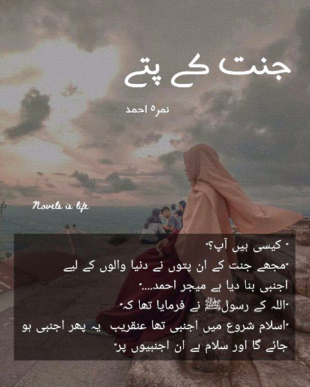 Romantic Novels image