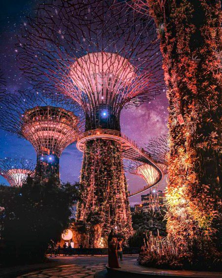 In another galaxy... Gardens by the Bay in Singapore 🌌