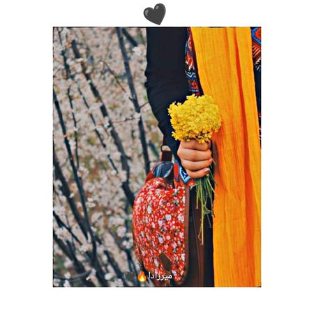 وہ سُرخ گُلاب نہیں تھی...!!
کہ ہاتھ میں آتے ہی...!!
پتیاں جھڑنے لگیں...!!
رنگ پِھیکا پڑجانے دے...!!
اپنی مہک بِکھر جانے دے...!!
بلکہ وہ پِیلا پُھول تھی...!!
پُرامن سی...!!
نہ اِتنی شوخ کہ...!!
سب کو متوجہ کرنے لگے...!!
نہ ہی اِتنی ہلکی چاپ والی...!!
کہ اپنا احساس نہ دِلا سکے...🙂🖤
"میرزادا"🔥🖤