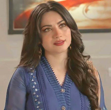 Pakistani Celebs image