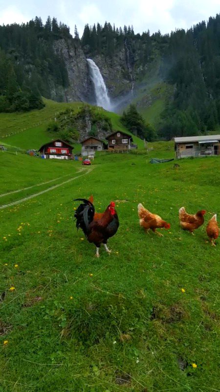 Beautiful Nature image