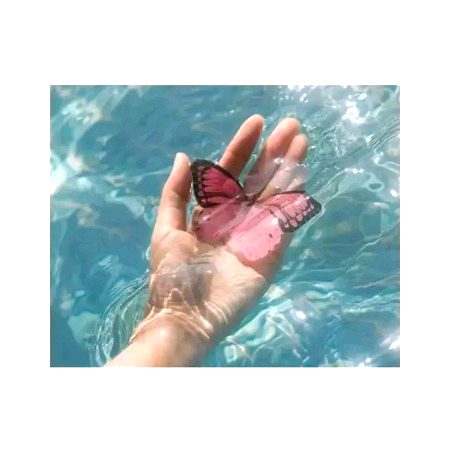 Beautiful Nature image