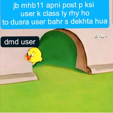 Damadam Roasting image