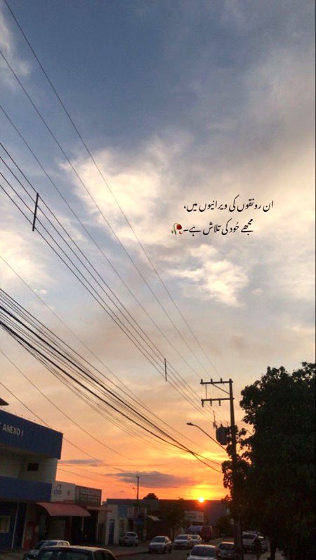 💜………………💜