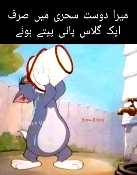 Memes & Satire image