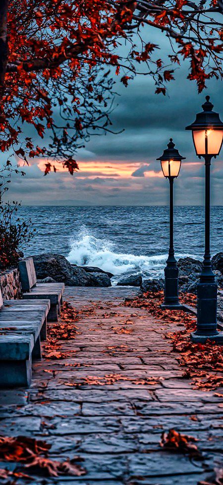 Beautiful Nature image
