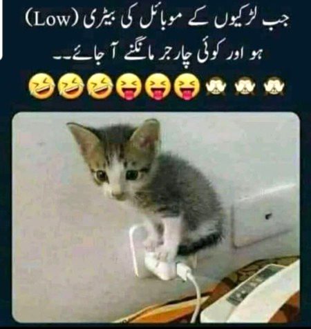 Memes & Satire image