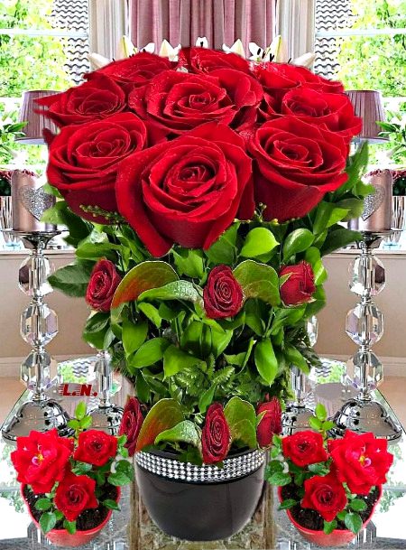 Beautiful Nature image