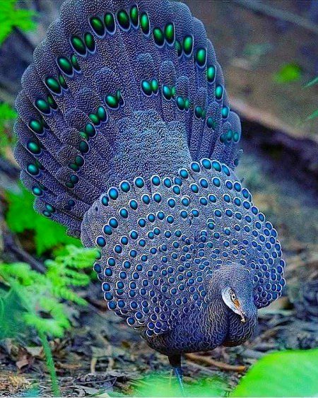 Beautiful Nature image