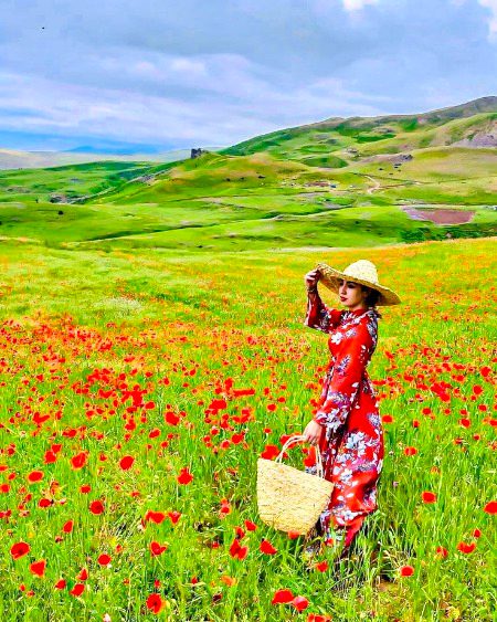 Beautiful Nature image