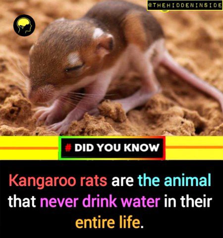 Interesting Posts image