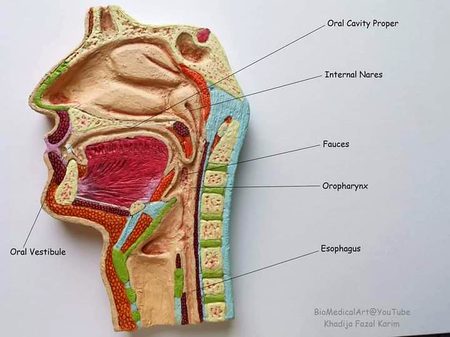 Tips for Students image