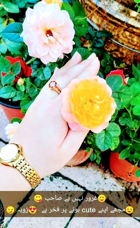 السلام علیکم