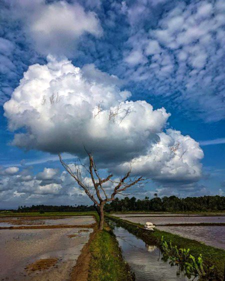Beautiful Nature image