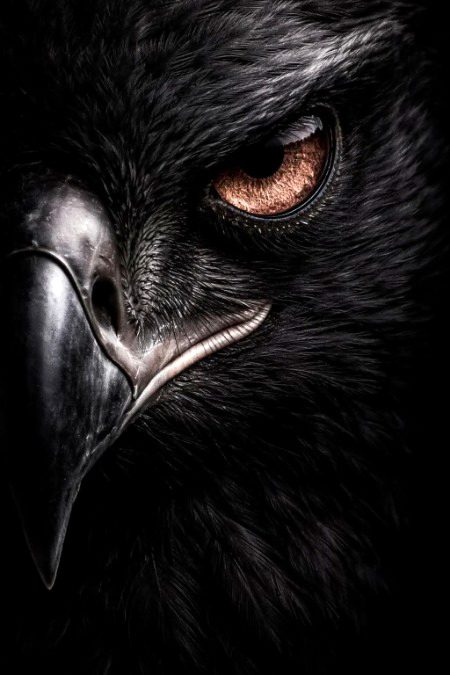 Beautiful Nature image