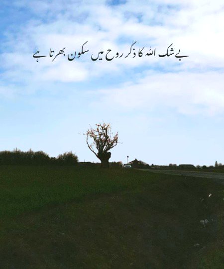Islamic Quotes image