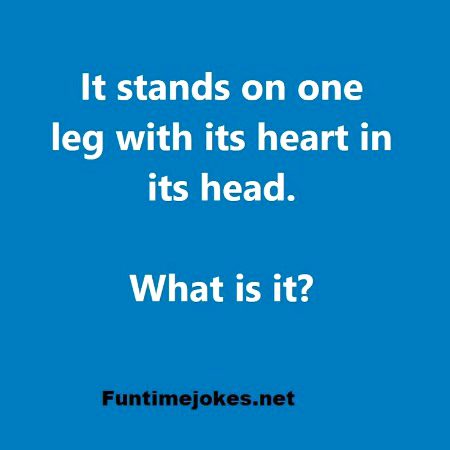 Riddles & Puzzles image