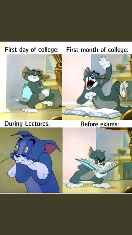 Memes & Satire image