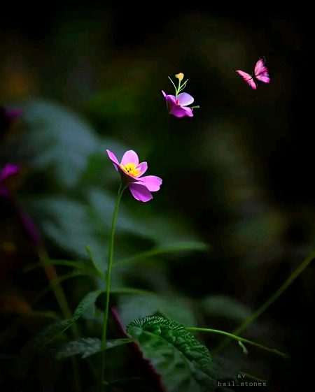 Beautiful Nature image