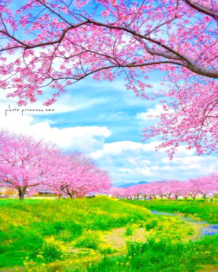 Beautiful nature💝💝💝