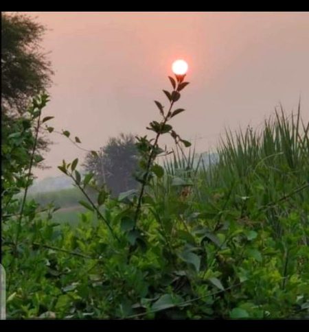 Beautiful Nature image