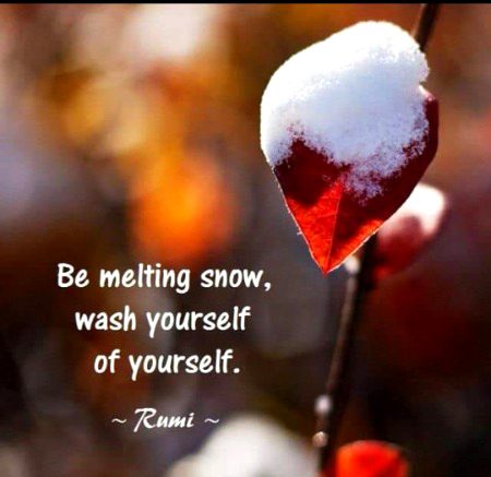 Life Advice image