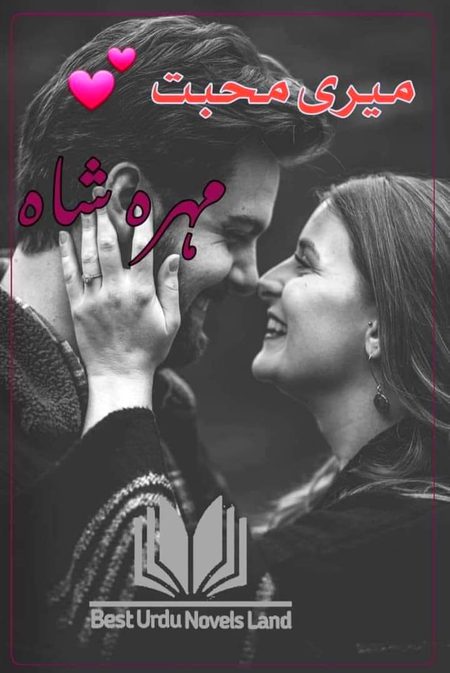 Romantic Novels image