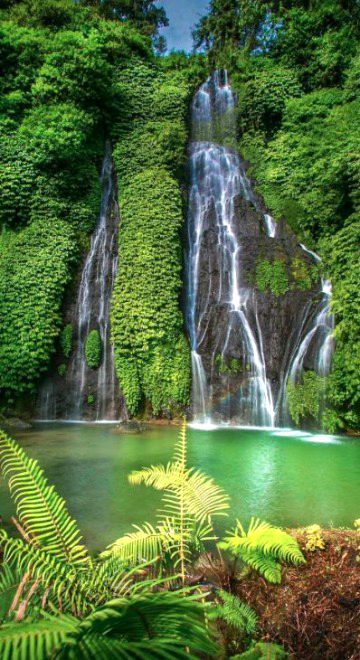 Beautiful Nature image