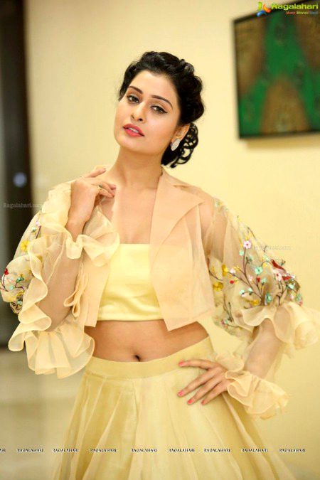 Indian Celebs image