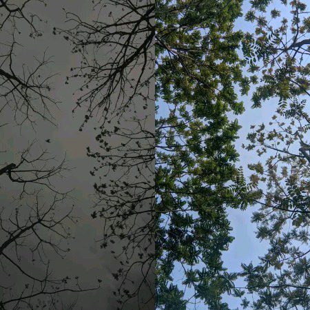 Beautiful Nature image