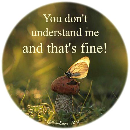 Attitude Quotes image