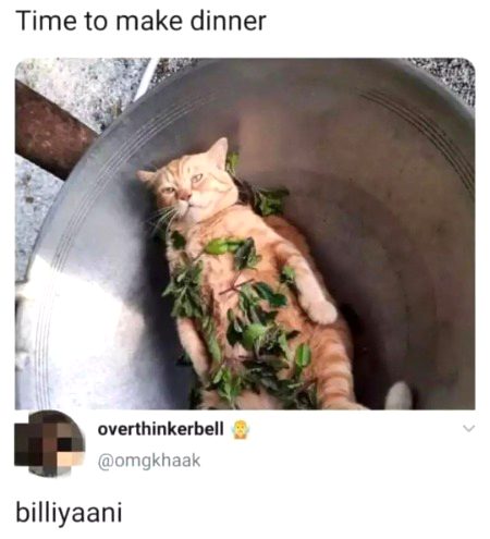 Memes & Satire image
