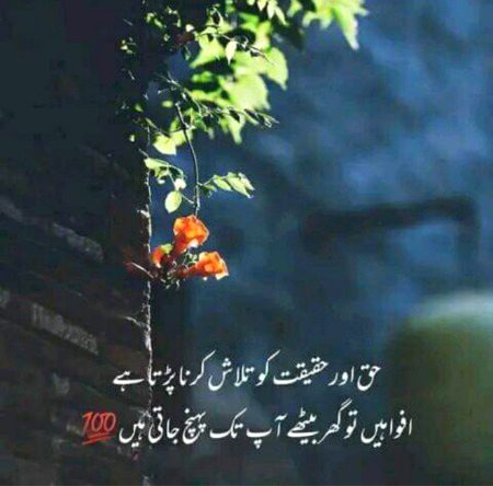 💛💚🖤💛💛💚🖤💛💚🖤💛💚🖤