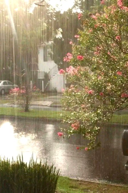 Beautiful Nature image