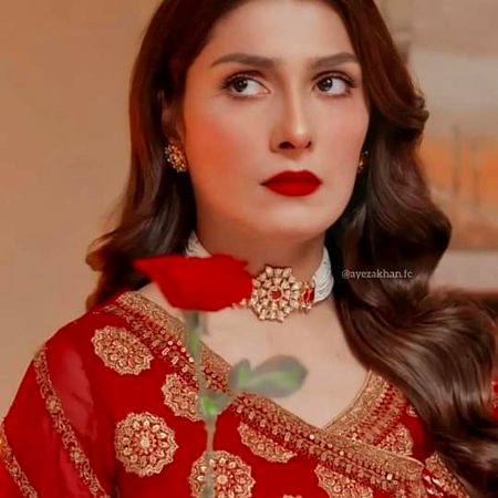 Pakistani Celebs image