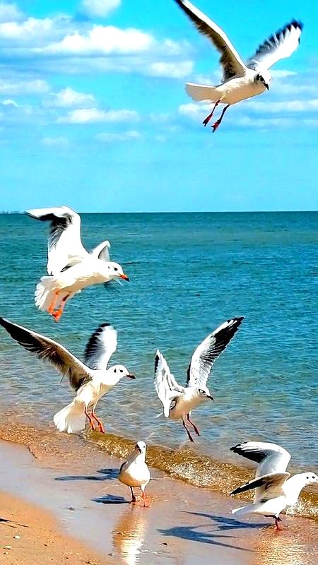 Beautiful Nature image