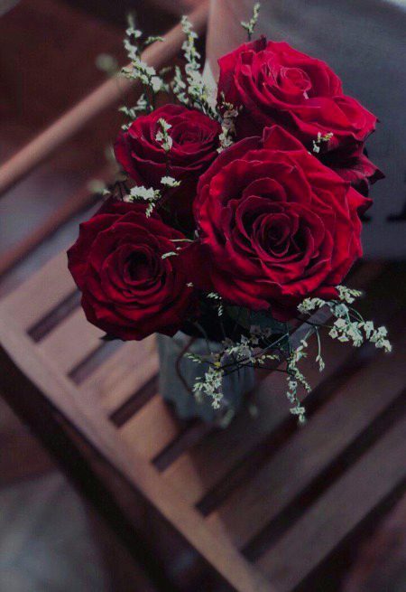 Beautiful Nature image