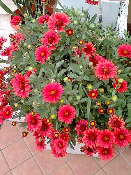 Beautiful Nature image