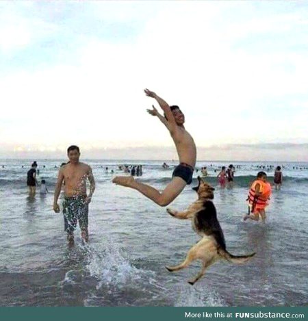 Memes & Satire image